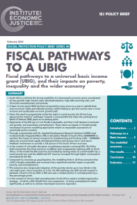 Fiscal pathways to a UBIG