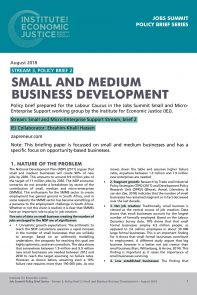 Stream 3, Policy Brief 2 Small and Medium Business Development