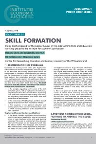 Stream 5 Policy Brief 1 Skill Formation